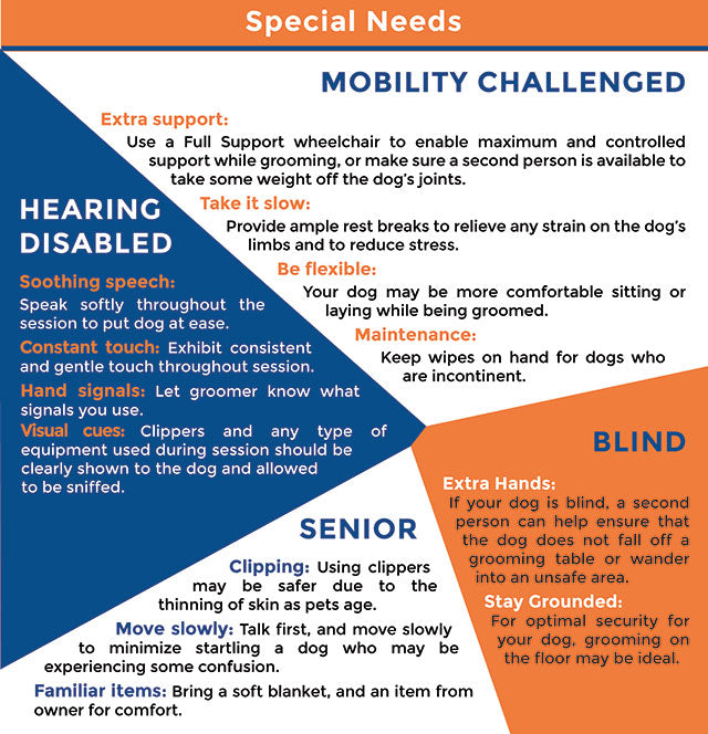 Dog Grooming for Beginners How do I get started?