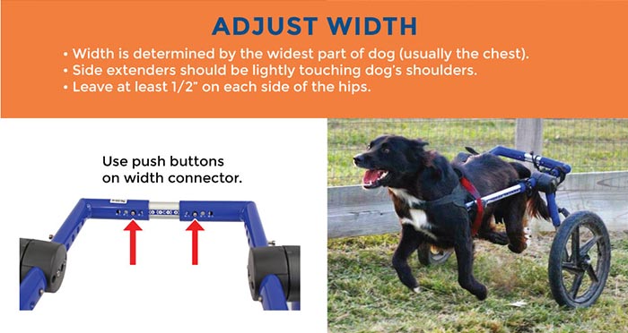 Dog Wheelchair Adjustment of Width