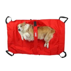 stretcher for pets