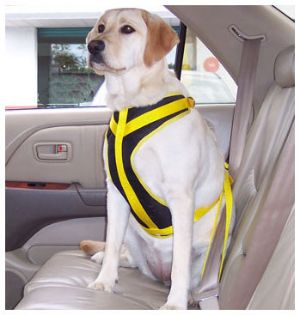 Safety Dog Seat belt and Harness