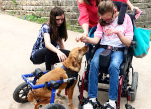 Special needs dogs connect with TX children with special needs