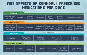 Pet Prescription Side Effects