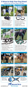 How to choose the right lifting harness for your dog