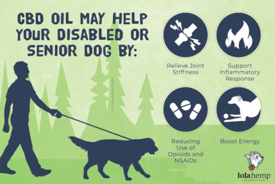 CBD oil for disabled or senior dogs
