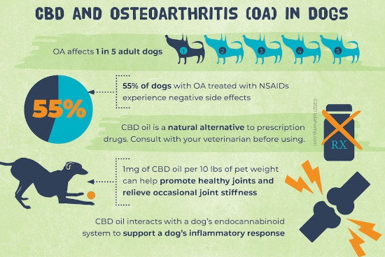 CBD Oil for Osteoarthritis in Dogs