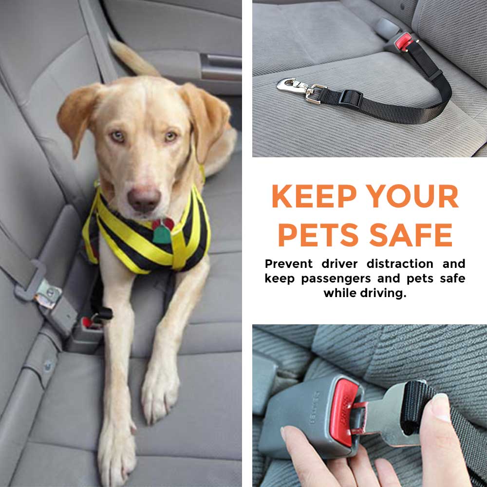 Dog seatbelts to keep pets safe in the car