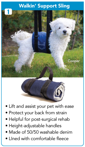 Support sling to help dogs stand