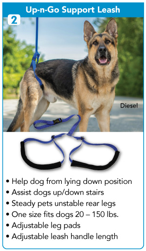 Up-n-Go Rear Support Leash to help dogs stand up