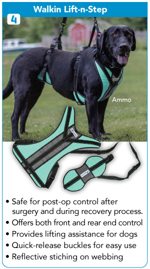 Lift-n-Step harness to support dogs with balance issues